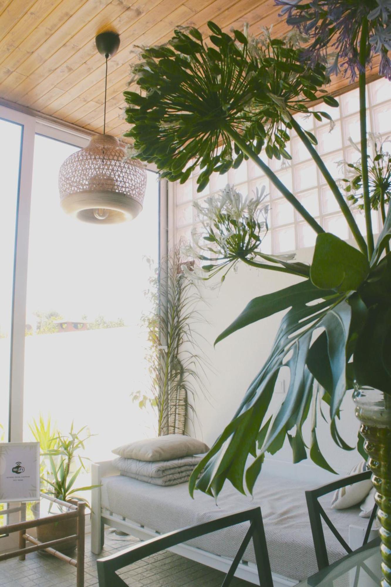 Vila Vale Guest House - Surf & Yoga تشارنكه المظهر الخارجي الصورة